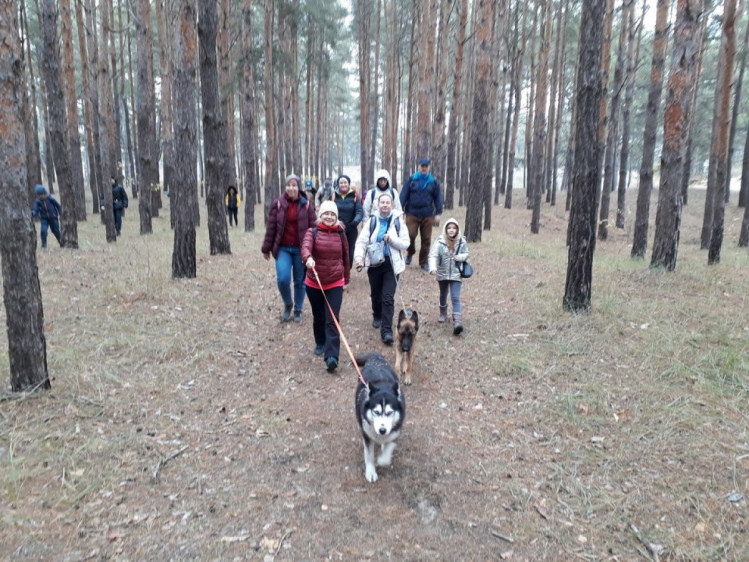 пішохідний похід Олешківськими лісами