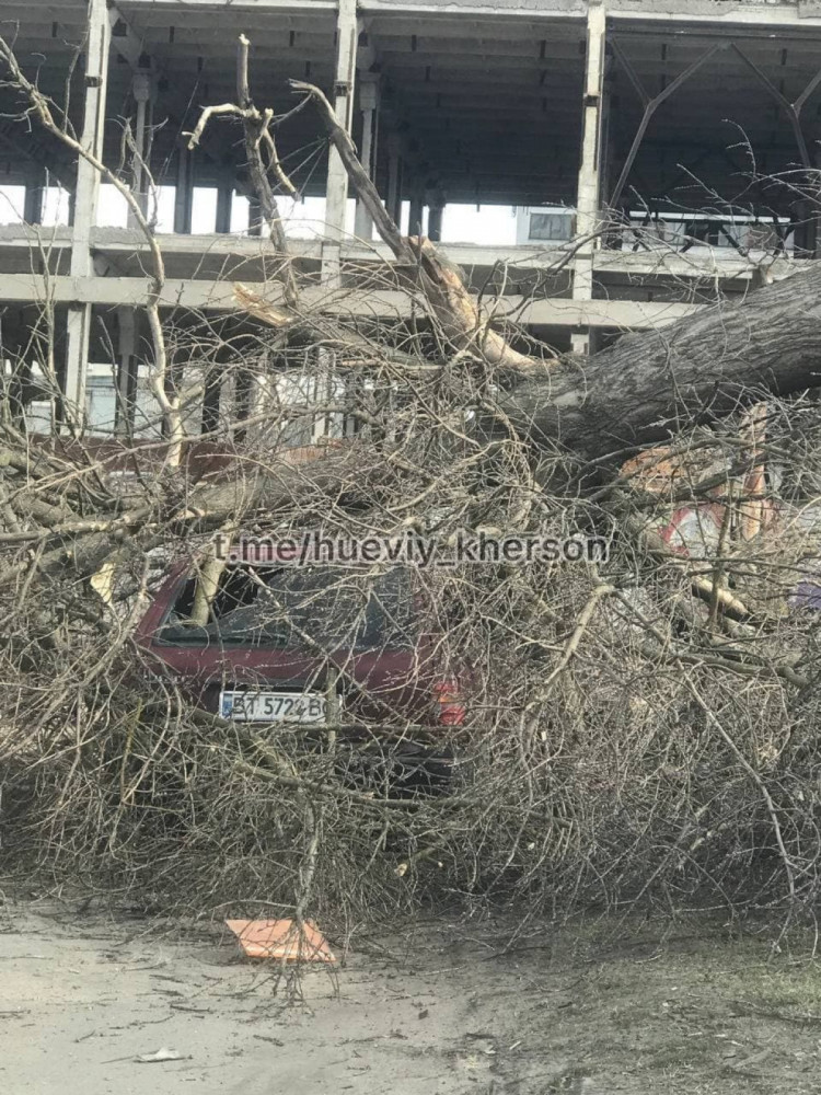 падение дерева на авто в Херсоне